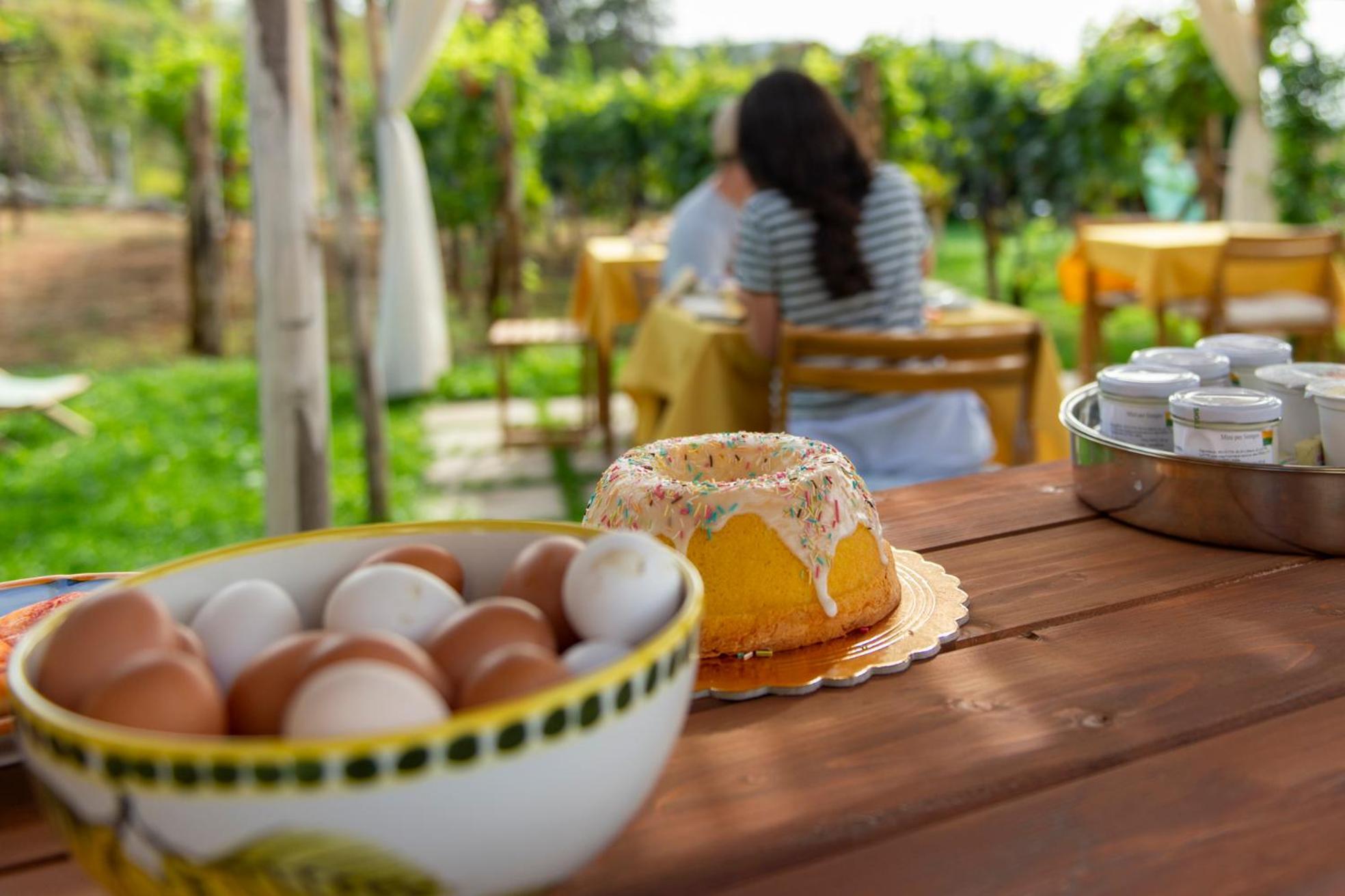 Bed and Breakfast Il Vigneto Di Nonno Pietro Agerola Exterior foto