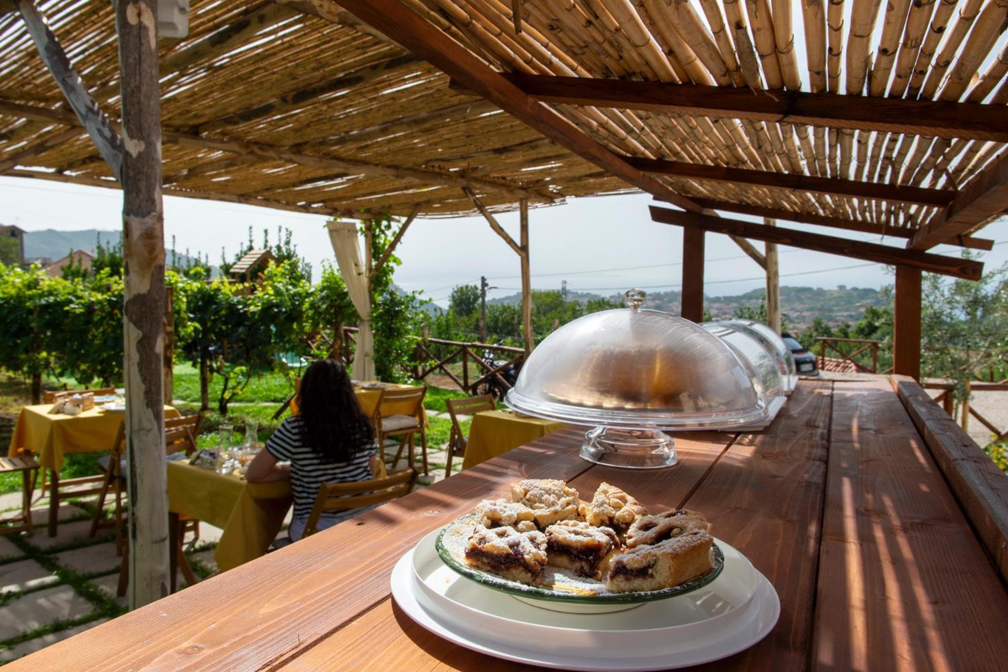 Bed and Breakfast Il Vigneto Di Nonno Pietro Agerola Exterior foto