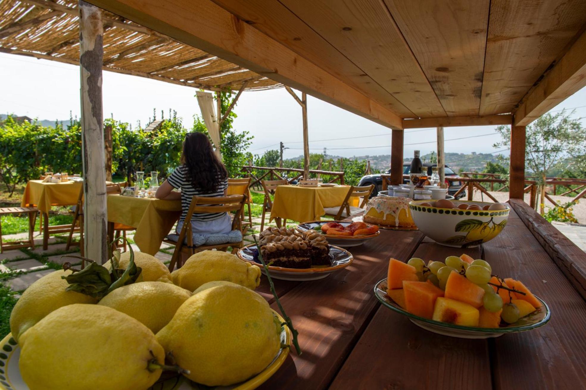 Bed and Breakfast Il Vigneto Di Nonno Pietro Agerola Exterior foto