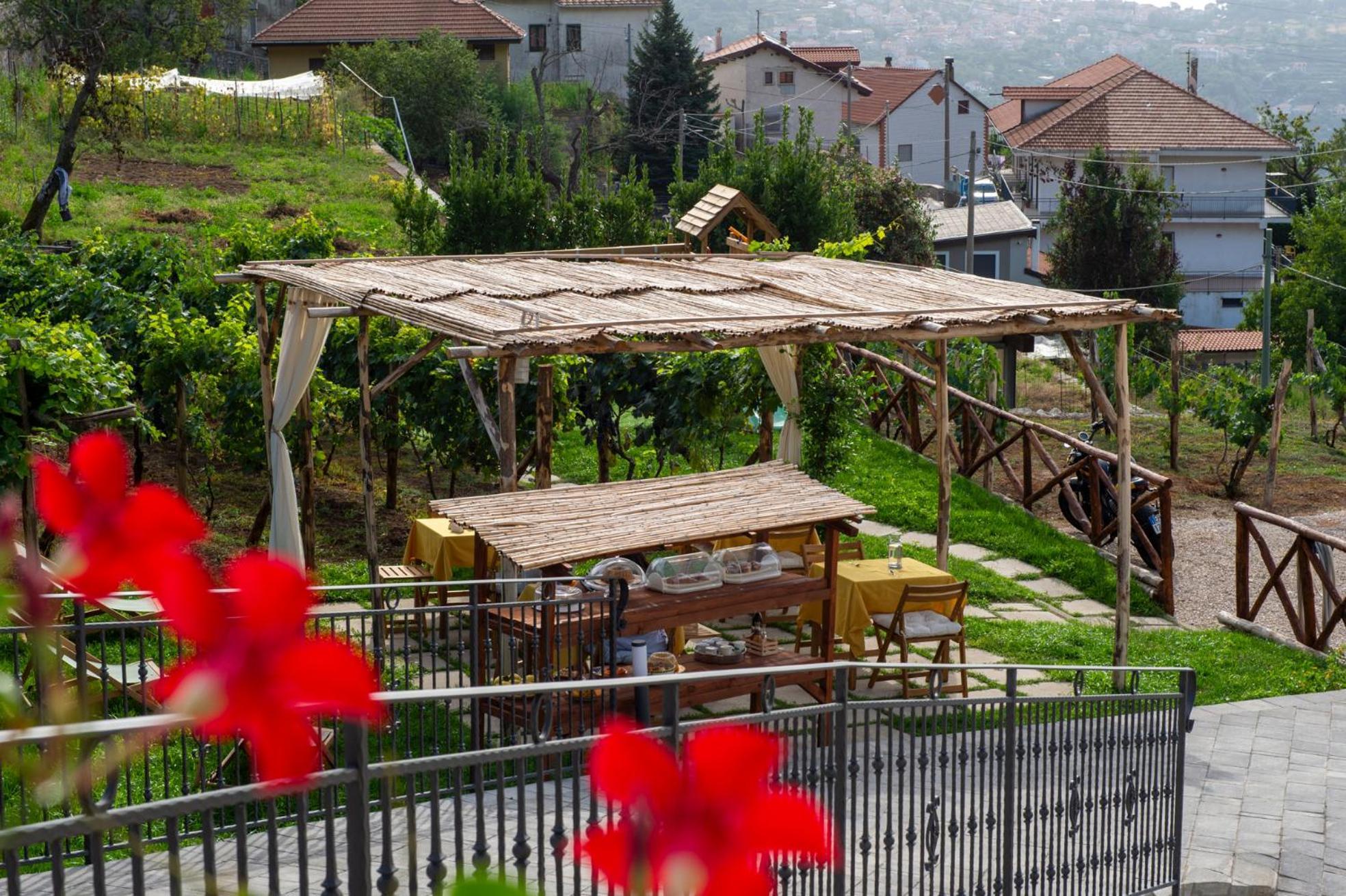 Bed and Breakfast Il Vigneto Di Nonno Pietro Agerola Exterior foto
