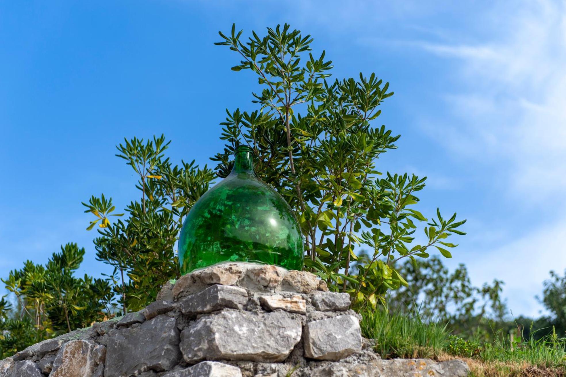Bed and Breakfast Il Vigneto Di Nonno Pietro Agerola Exterior foto