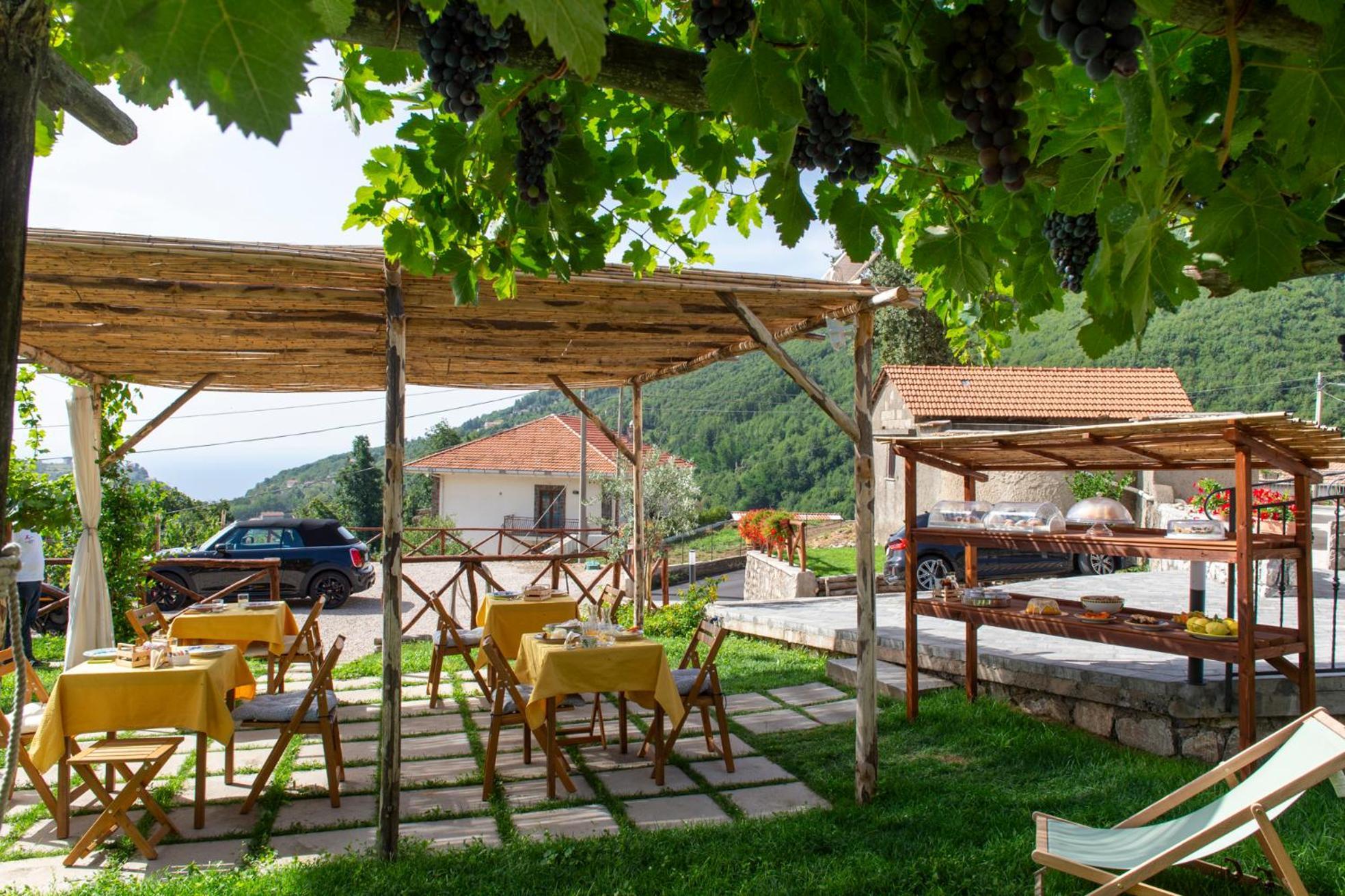 Bed and Breakfast Il Vigneto Di Nonno Pietro Agerola Exterior foto