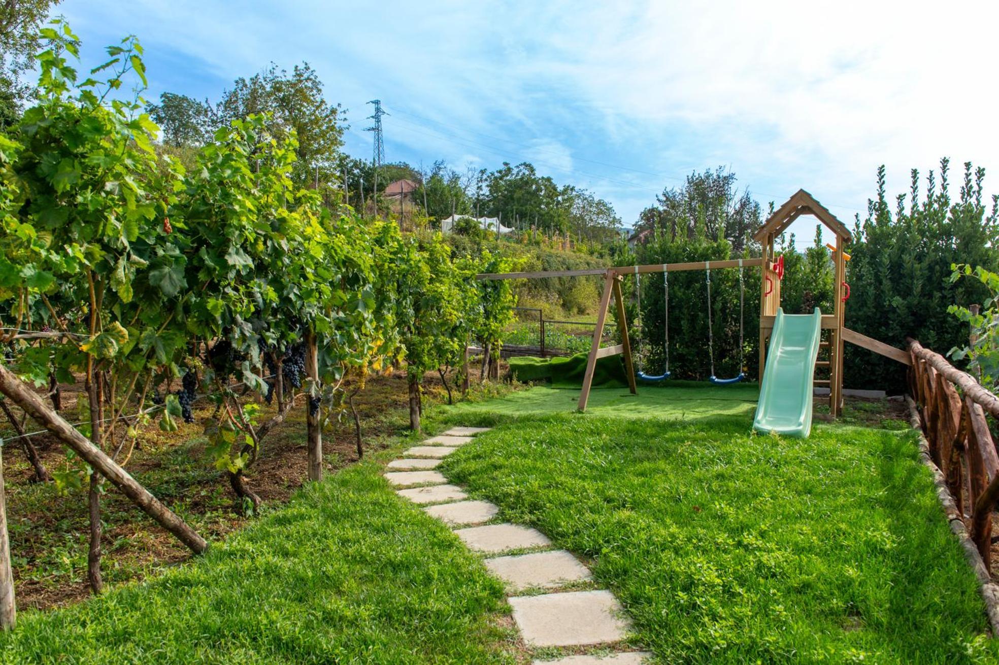 Bed and Breakfast Il Vigneto Di Nonno Pietro Agerola Exterior foto