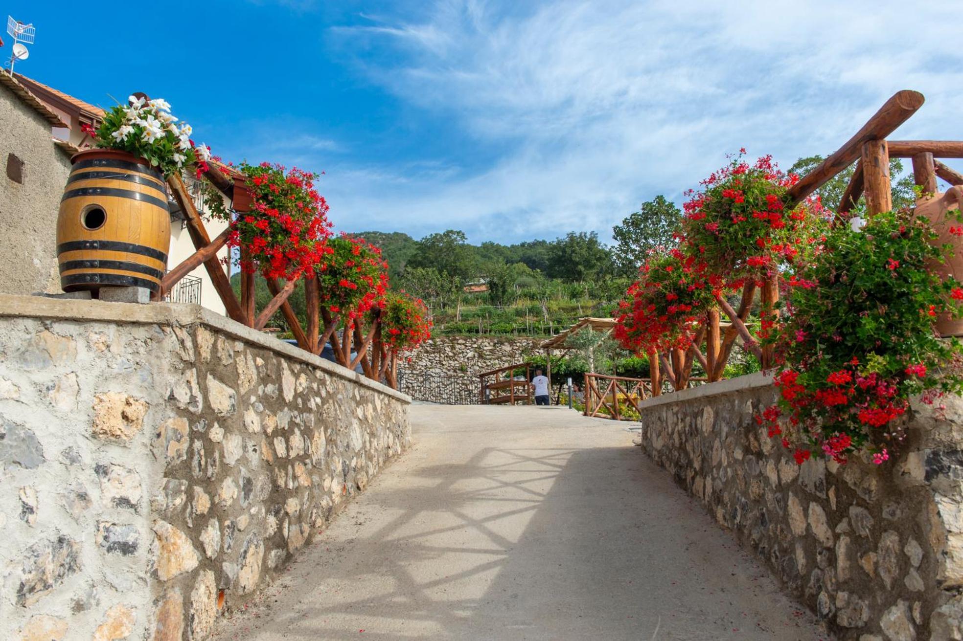 Bed and Breakfast Il Vigneto Di Nonno Pietro Agerola Exterior foto