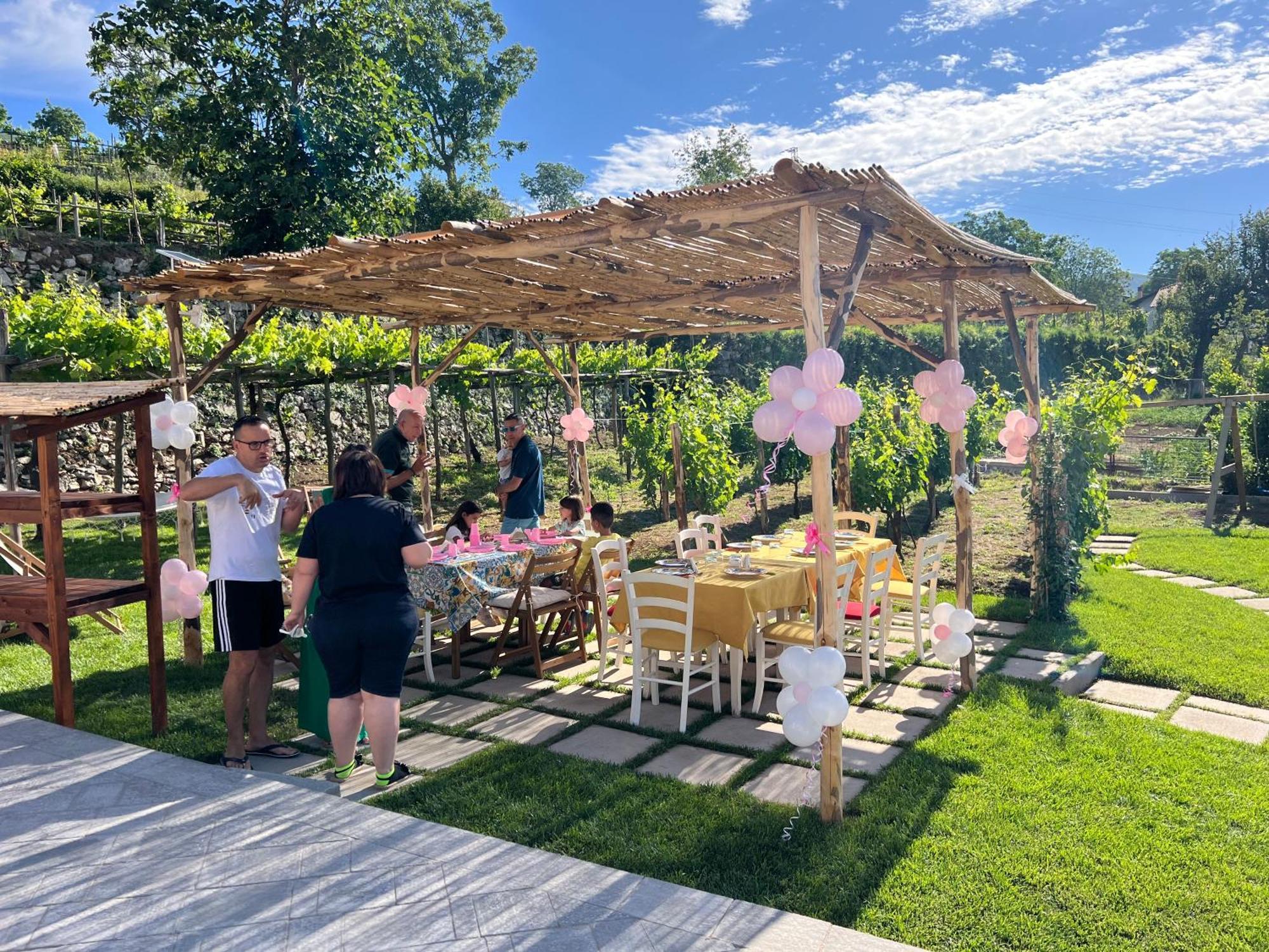 Bed and Breakfast Il Vigneto Di Nonno Pietro Agerola Exterior foto