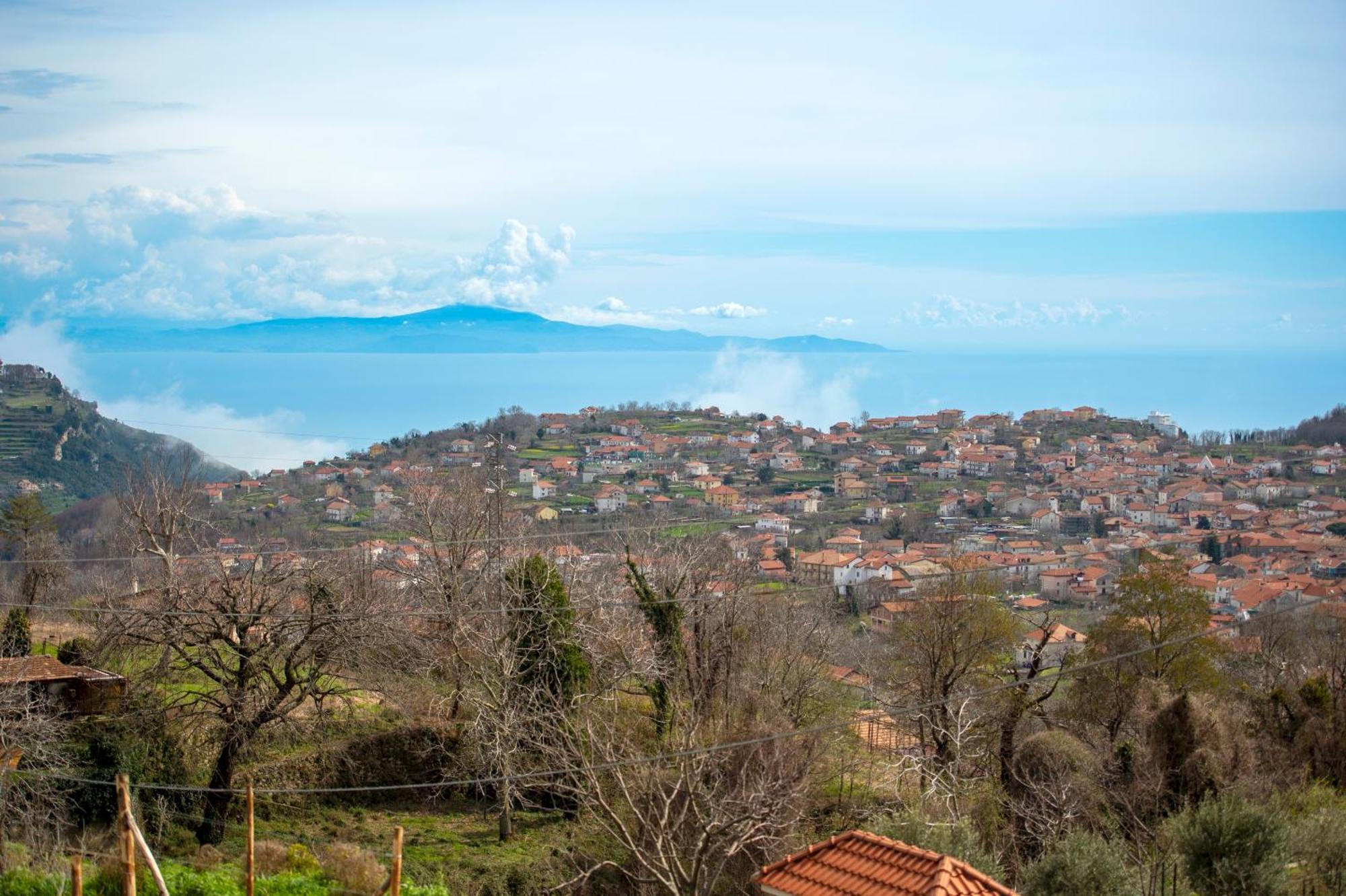 Bed and Breakfast Il Vigneto Di Nonno Pietro Agerola Exterior foto